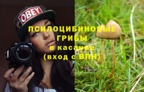 дурь Киренск