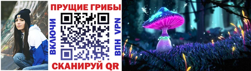 Галлюциногенные грибы Psilocybine cubensis  где купить наркотик  Новопавловск 